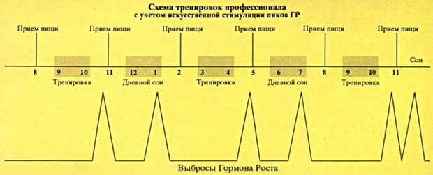 Гормон роста Гормон роста