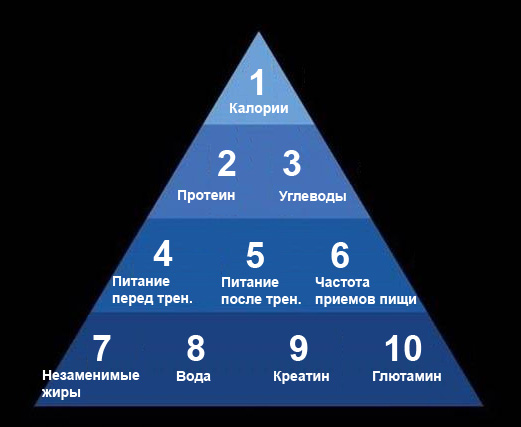 Пирамида мышечного роста